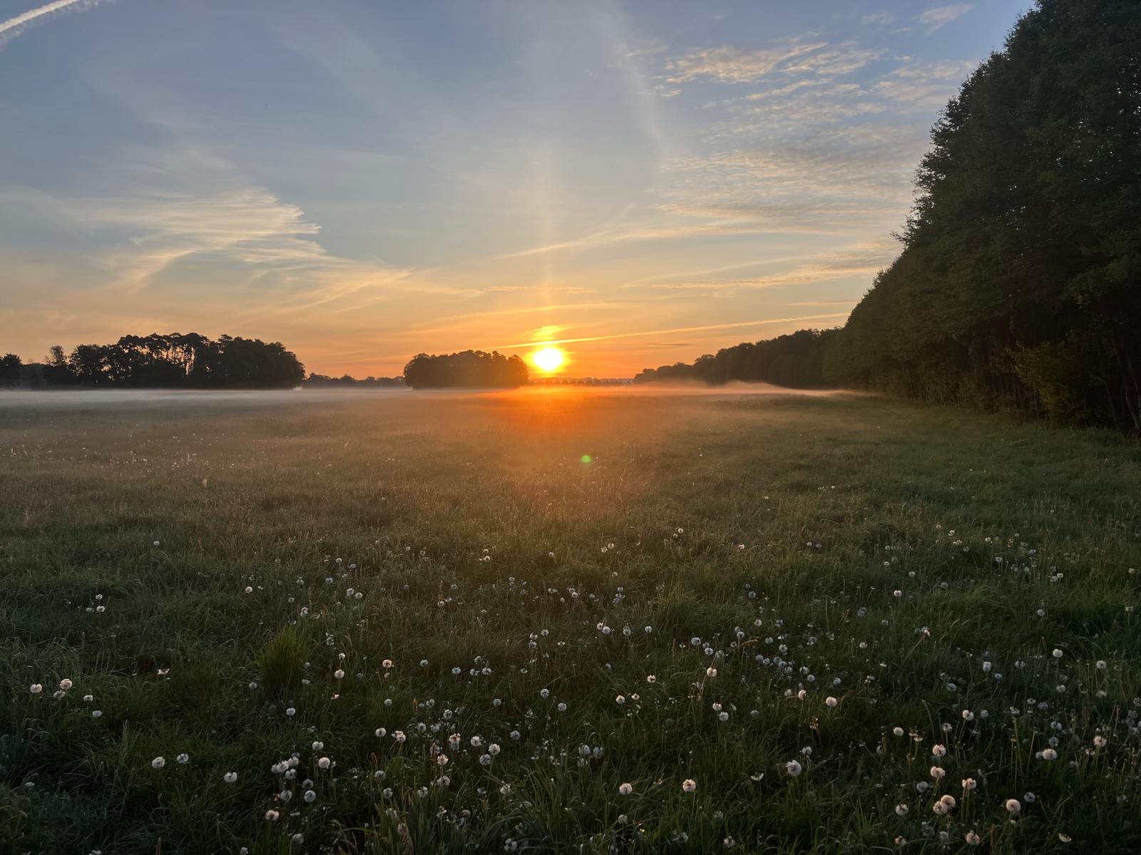 Impressionen